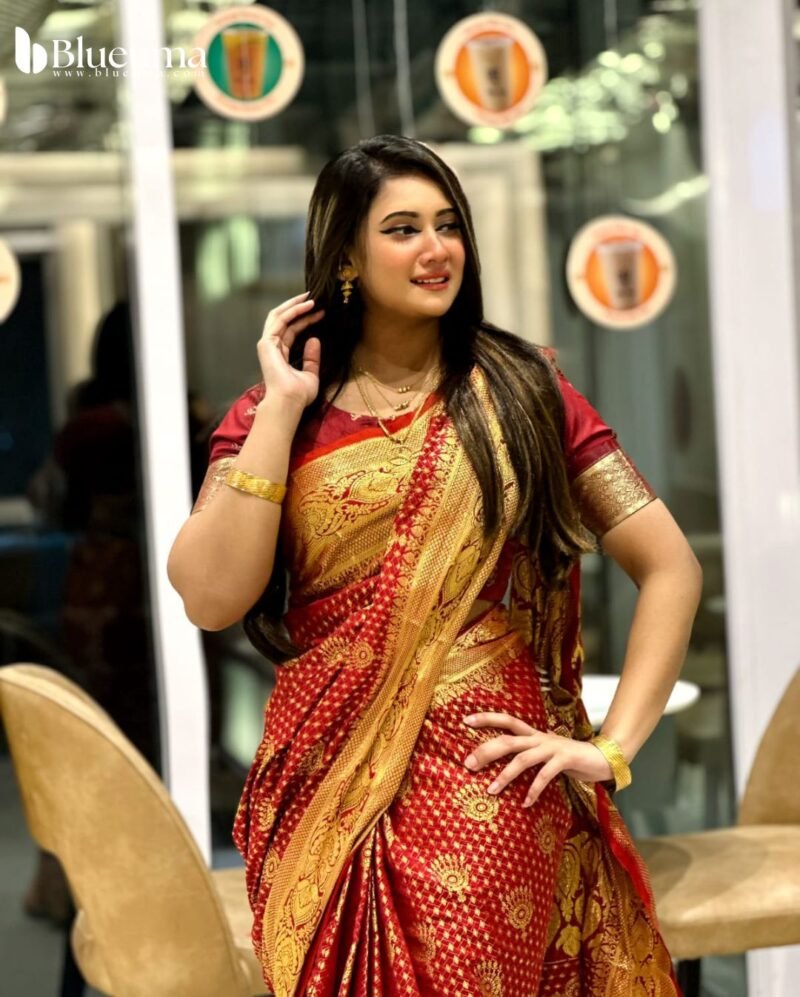 কাতান বেনারসি শাড়ি (11)