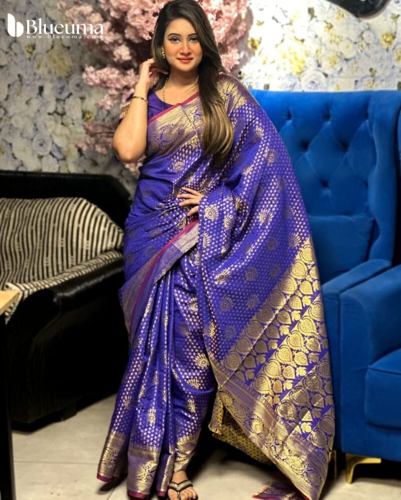 কাতান বেনারসি শাড়ি (2)