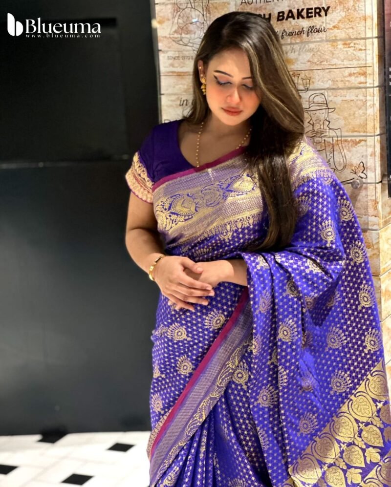 কাতান বেনারসি শাড়ি (3)