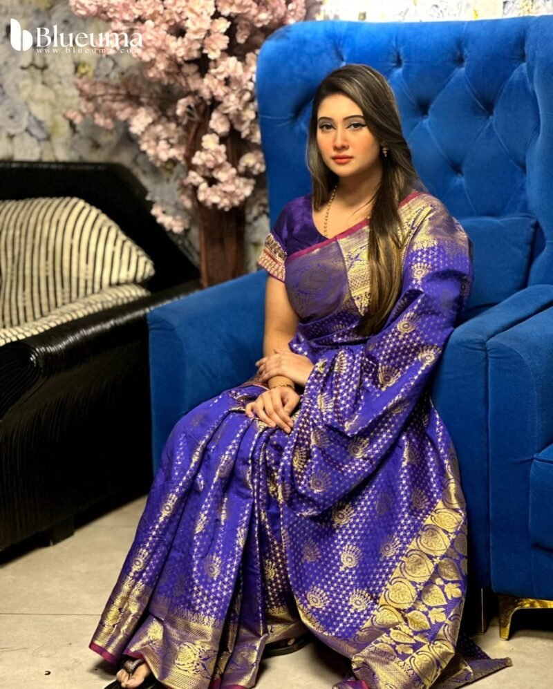 কাতান বেনারসি শাড়ি (4)