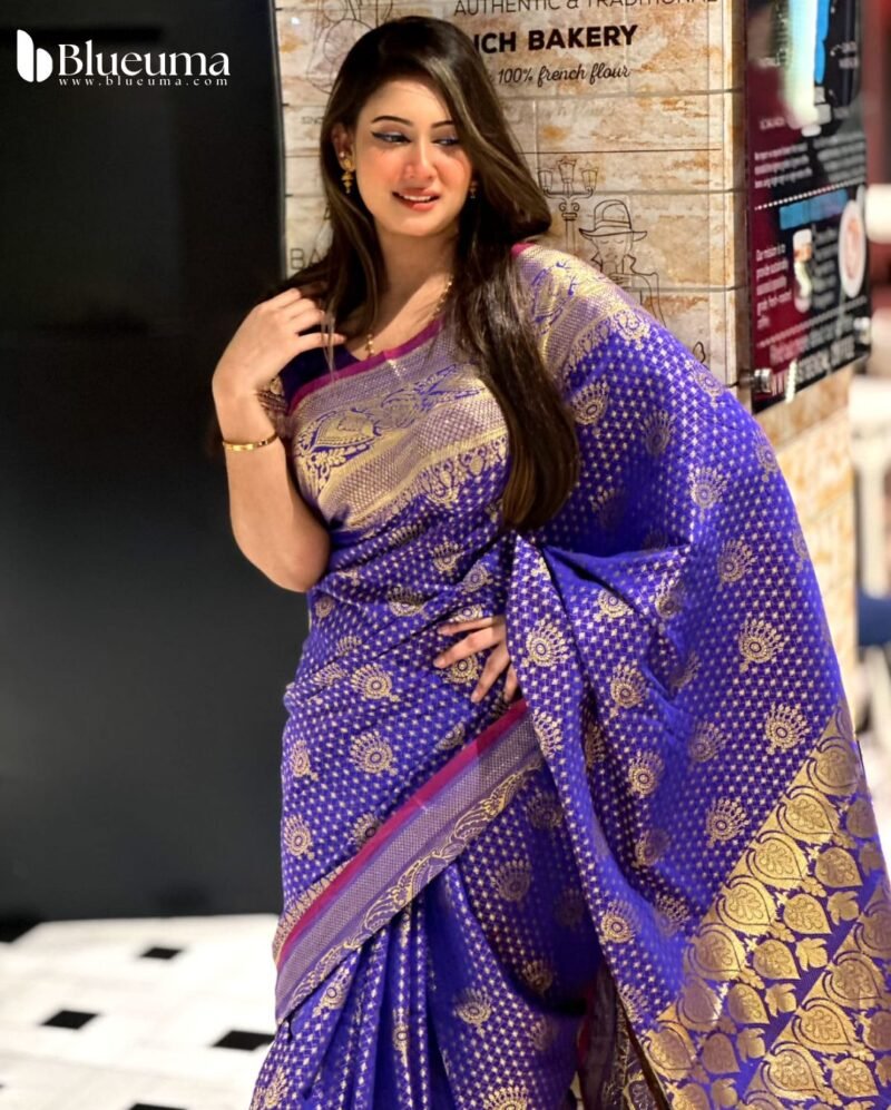 কাতান বেনারসি শাড়ি (6)