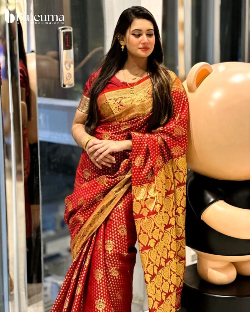 কাতান বেনারসি শাড়ি (7)