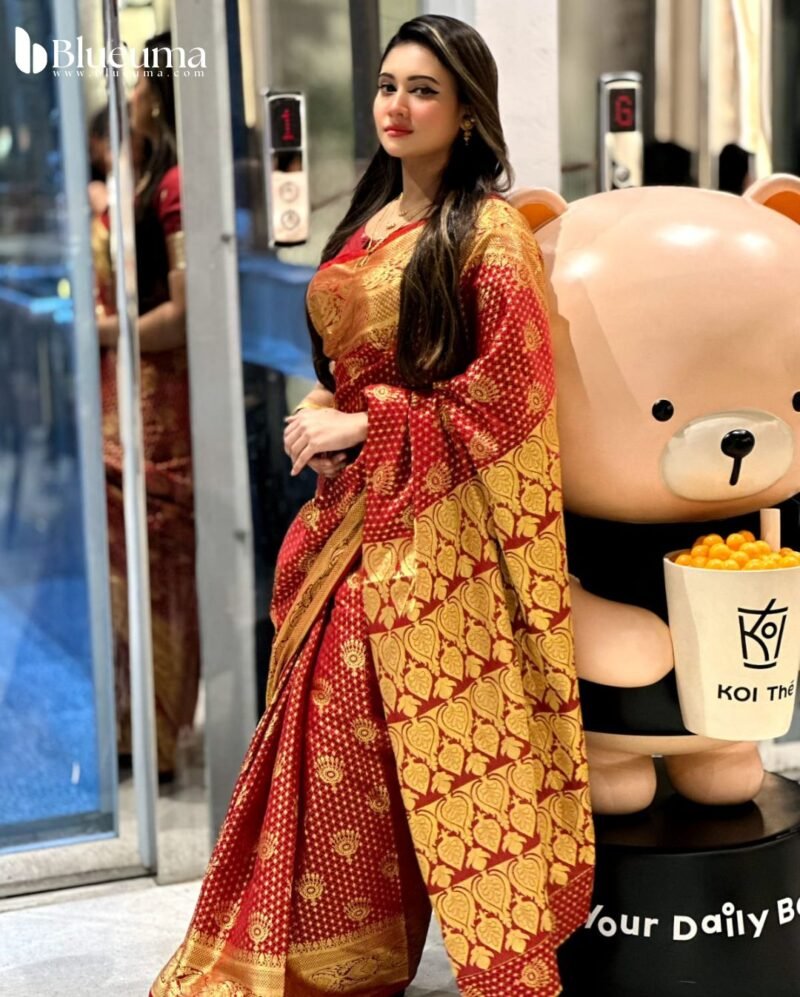 কাতান বেনারসি শাড়ি (8)