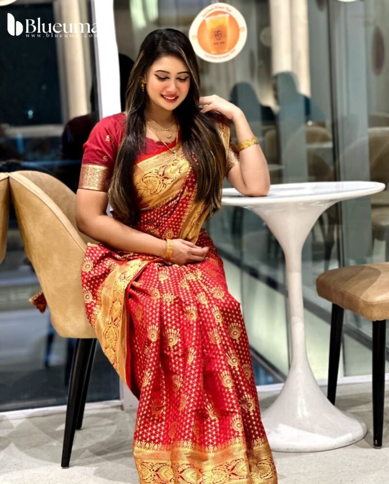 কাতান বেনারসি শাড়ি (9)