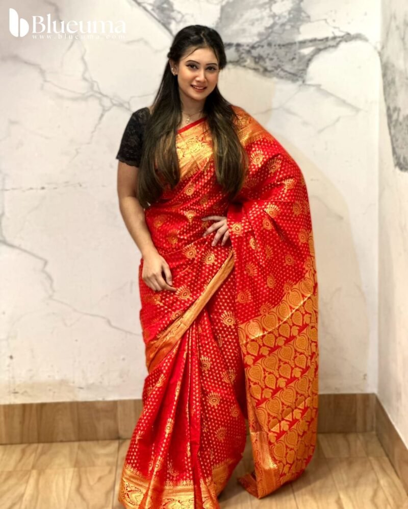 প্রিমিয়াম কাতান বেনারসি শাড়ি (2)