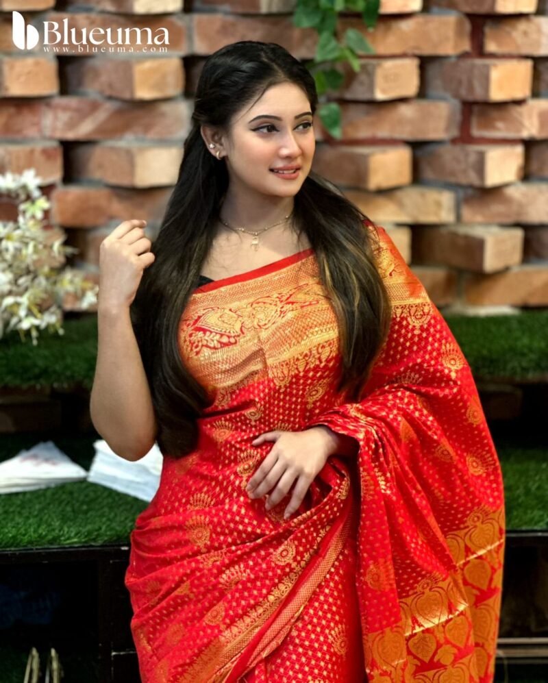 প্রিমিয়াম কাতান বেনারসি শাড়ি (4)