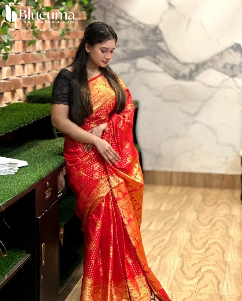 প্রিমিয়াম কাতান বেনারসি শাড়ি (5)