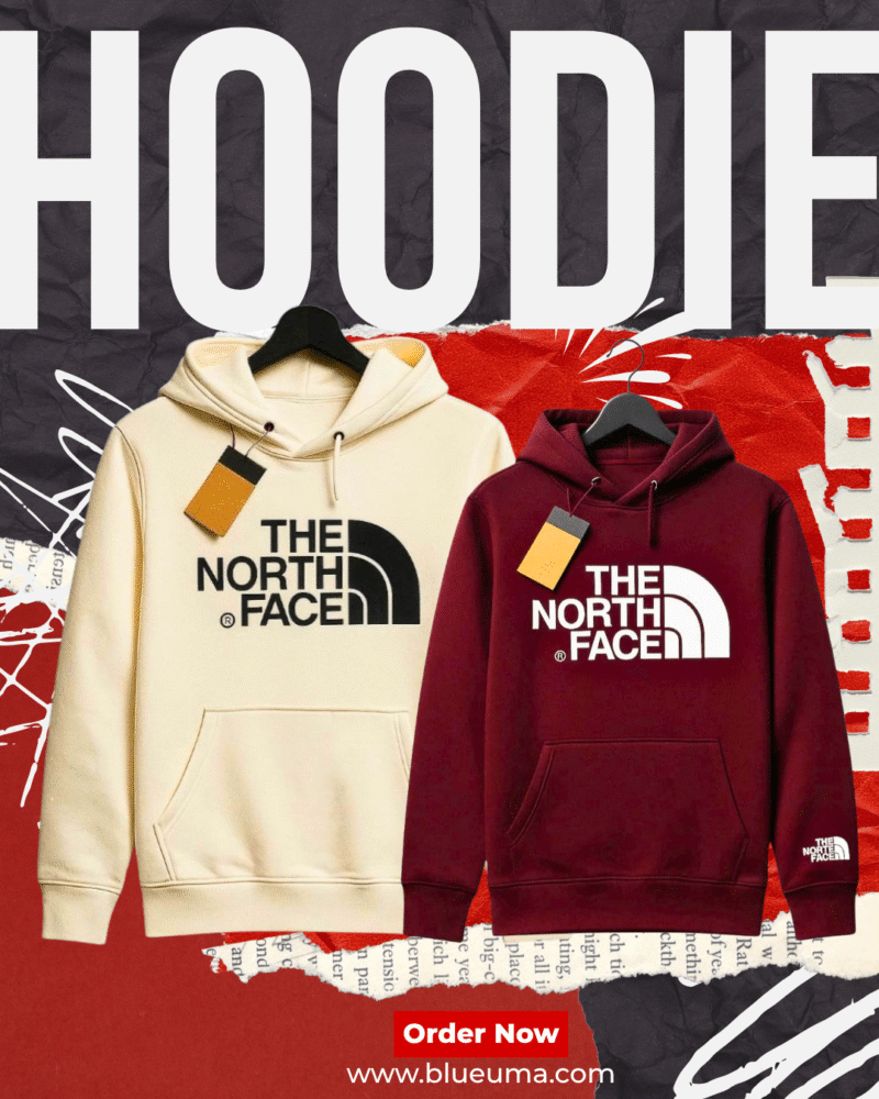 Men’s Export Quality The North Face Phillips Cotton Hoodie (3)