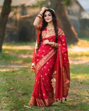 Japani Silk Skin Print Sharee with Blouse Piece